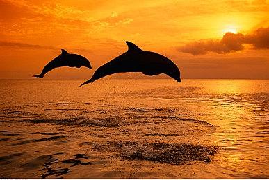 《绝地求生》8月免费体验活动后有望彻底免费